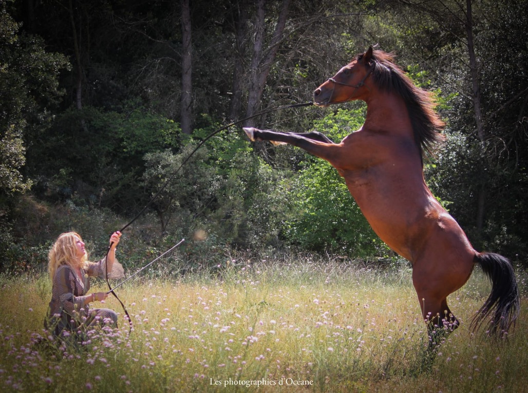 Stages d'Équitation d'Été pour Enfants et Adolescents aux Écuries de Cadillan