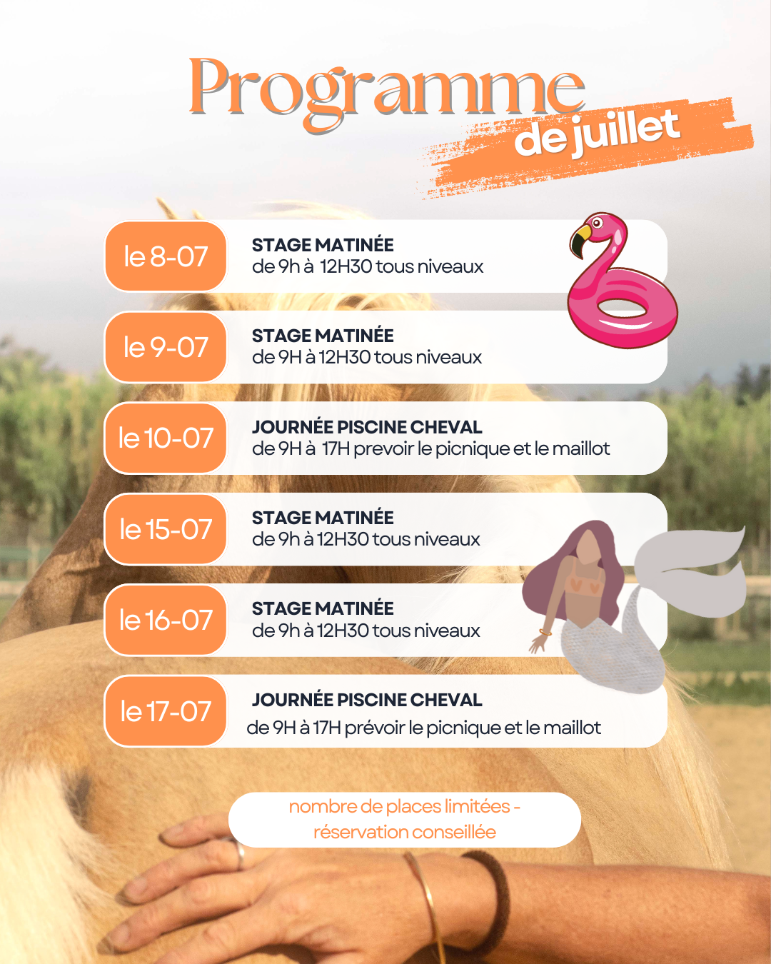 stages 2025  du mois de juillet